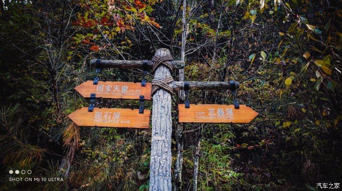 自然保护区|开着大唐去旅行——穿越太洋公路，赏黄柏塬醉美秋色（中篇）