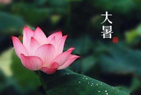 时令|大后天大暑！大暑天气多吃这四样时令蔬菜，防暑降温，你不能错过