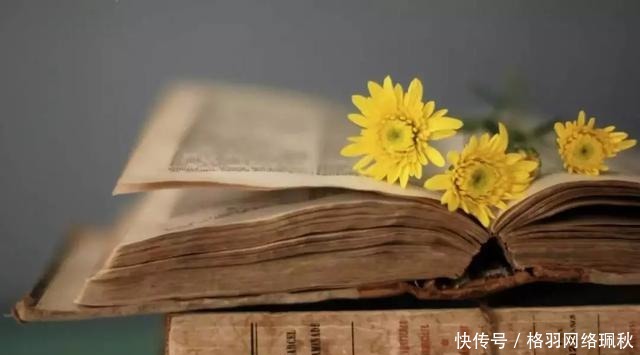 为什么听了那么多大道理,还是经营不好事业、过不好这一生