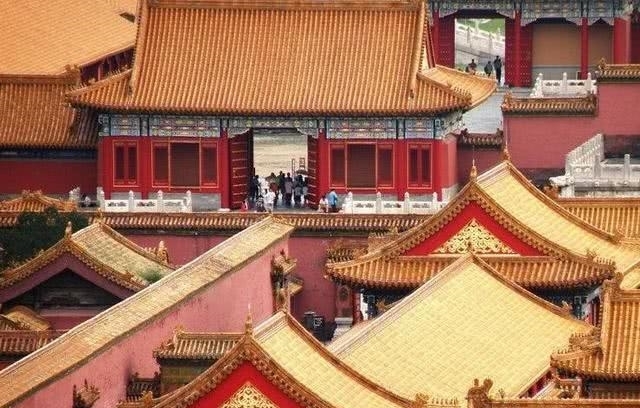 宫殿|故宫建立600年，为何没有鸟敢在房顶上拉屎？馆长揭晓关键原因