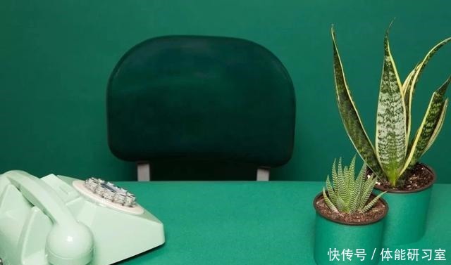 几种在夜晚释放氧气的植物,养在卧室里都不用担心!