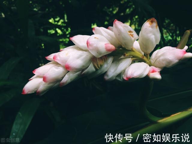 守信|一个有教养的人，总会在这四个方面做得很好