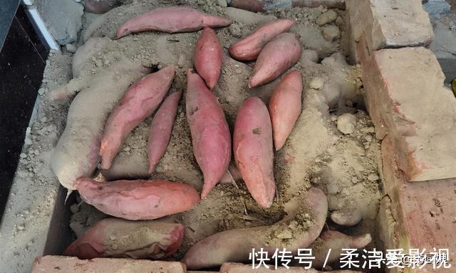 秀厨娘|保存红薯有妙招，教你个好办法，红薯越放越甜，放半年不烂不长芽
