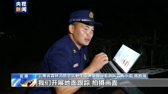 监测|卷起尘土“沐浴”、顺走汽车后视镜……快到家的象群又发生了哪些趣味瞬间