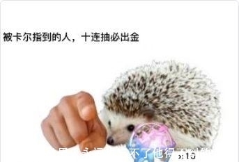 二次元|米忽悠菜谱二次元风味十足，玩梗不遗余力，芽衣提米刻晴纷纷落泪