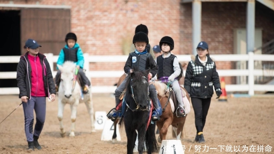 兴趣班也可能存在“鄙视链”，花钱多未必“吃香”，选择要慎重