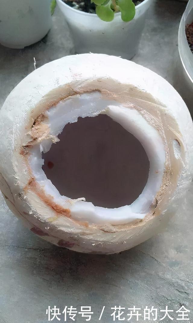  自制|在家用这4种东西自制花盆，简单方便还好看！透气性高养花好