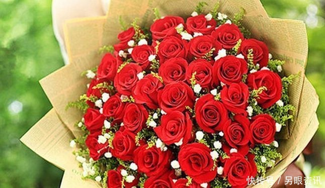 喜欢玫瑰,就养盆“精品玫瑰”红玫瑰,花开红色似火,美艳优雅!