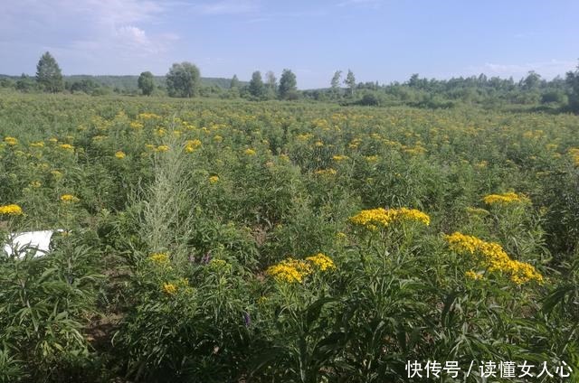 走进|走进中国最北择站二十六站!