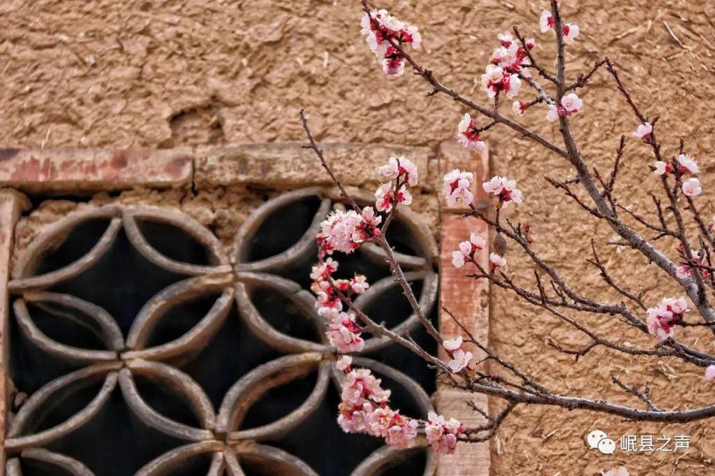 岷县的春夏秋冬，看不够！