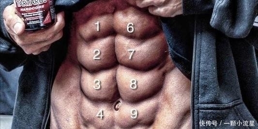 新手|为什么要先练大肌群?正所谓,新手练腹,高手练胸,大神练腿