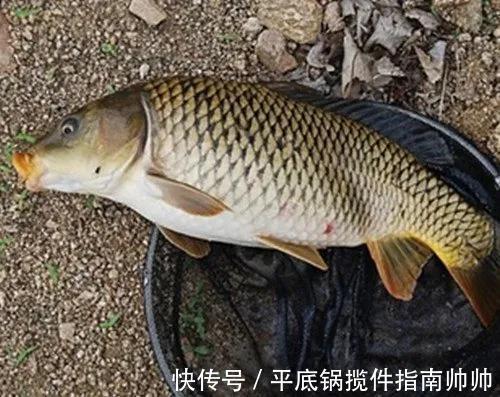水域|不管什么季节，什么样水域作钓，钓位一直都是钓友们最关注的话题