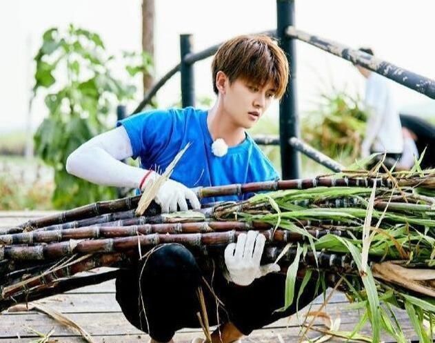 理由|任嘉伦曝钱包里经常没钱,为此都找谭松韵借钱,理由笑翻大家