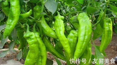 包心菜|每天可以多吃3种食物，美容养颜、滋润肌肤，早吃早受益！