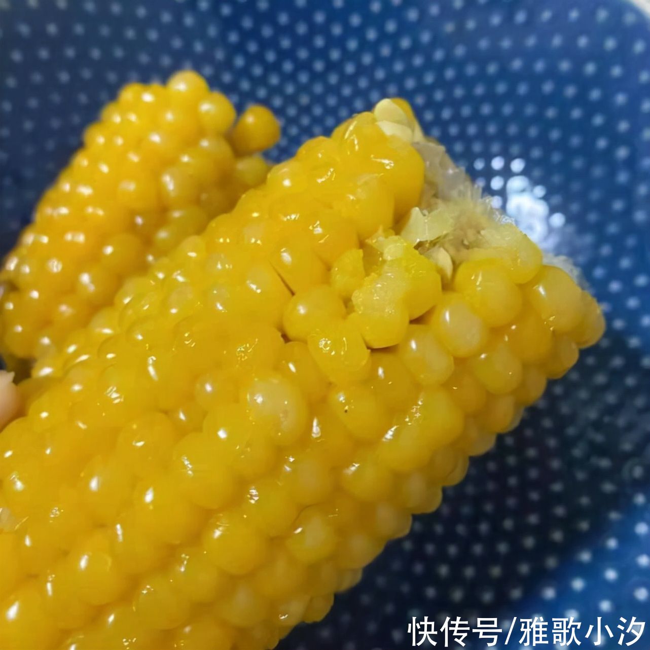 以为是青蛙！他打开玉米惊见“黑色物体”，内行网友：是“松露”