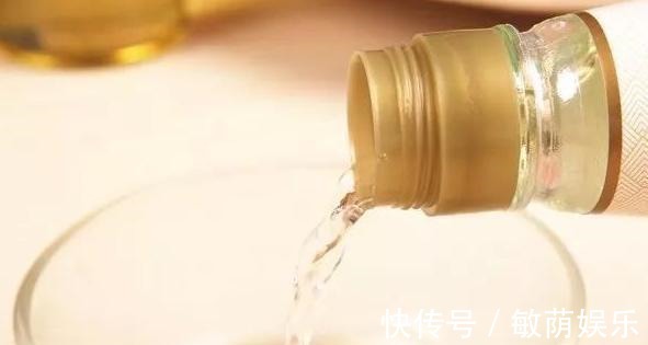 容器|养花招虫除不尽3个小技巧,让盆栽里一个虫子都没有