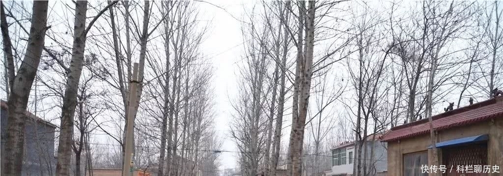 确权|乡亲们注意:土地确权后这6种宅基地将不再属于自己,也无法继承!