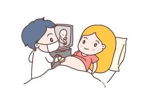 性别|孕期想问胎儿性别,医生的幽默回答你懂吗?网友:瞬间秒懂