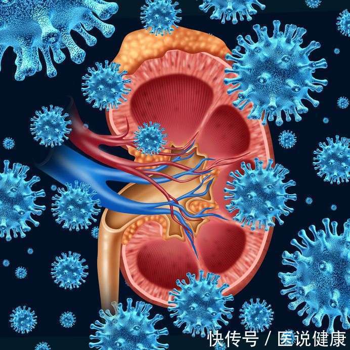 饮食|患有慢性肾炎,饮食要牢记这4点,以免增加肾脏负担,需了解