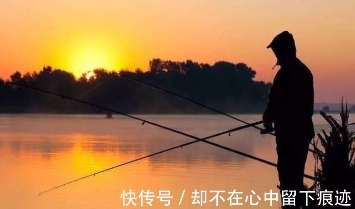 破解|别人连竿,你却没口?20年老钓手:按我说的做,竿竿中鱼不停歇
