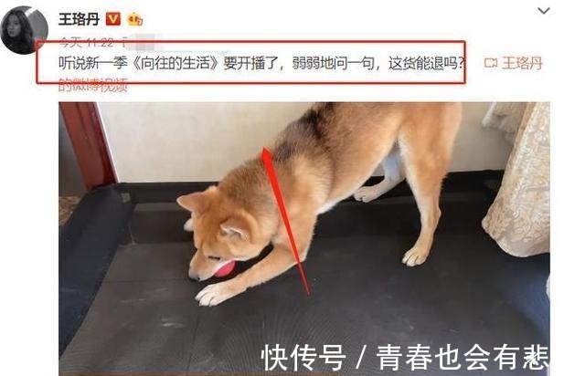 退回|《向往4》錄制,王珞丹喊話想退回瓢哥,誰注意到官方回話