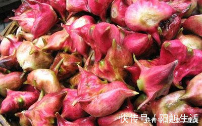 女性不想早衰，不妨多吃以下食物，延缓衰老，淡化色斑，早吃早好