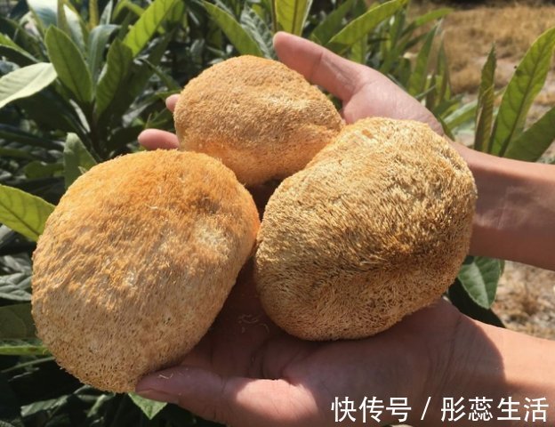 助长器|12岁男孩半年长16厘米,儿科大夫:1食物是“助长器”,可多吃