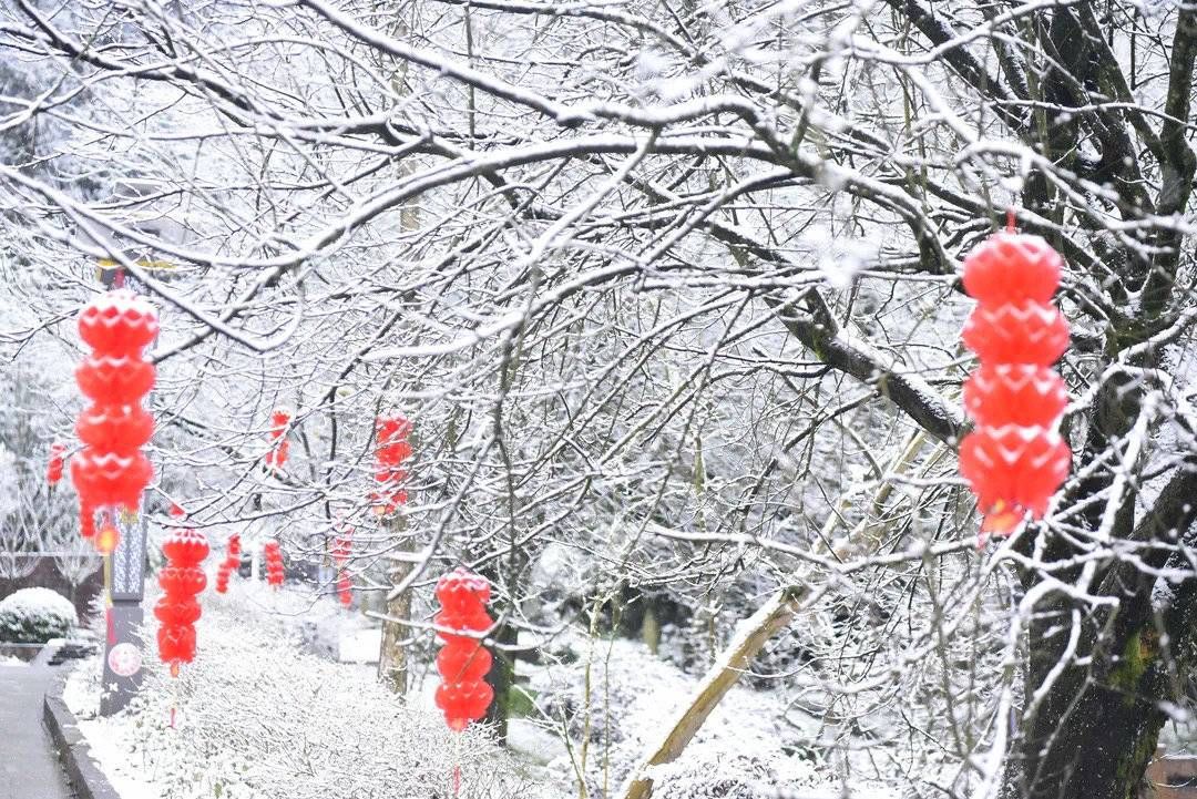 蒙顶山景区|雅安蒙顶山景区迎瑞雪 红墙、白雪、银枝美不胜收丨冬游四川上封面