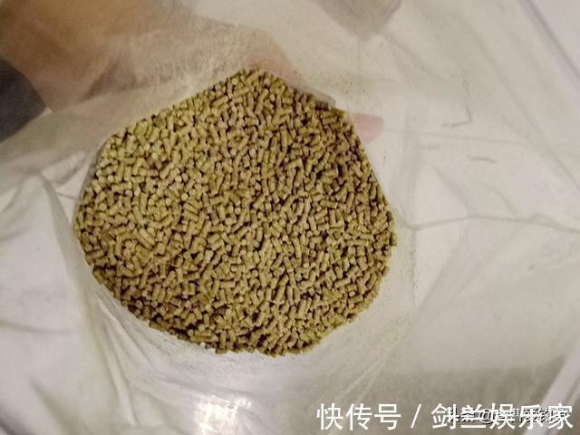 一包烟换来的钓鱼窝料配方,自制容易成本低,比买的还要好
