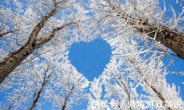 梅映雪$梅花欢喜漫天雪，飞舞冬至遐思长