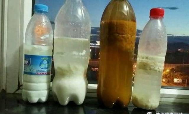 厨房这3样“小东西”,养花比肥好使,养啥爆啥!