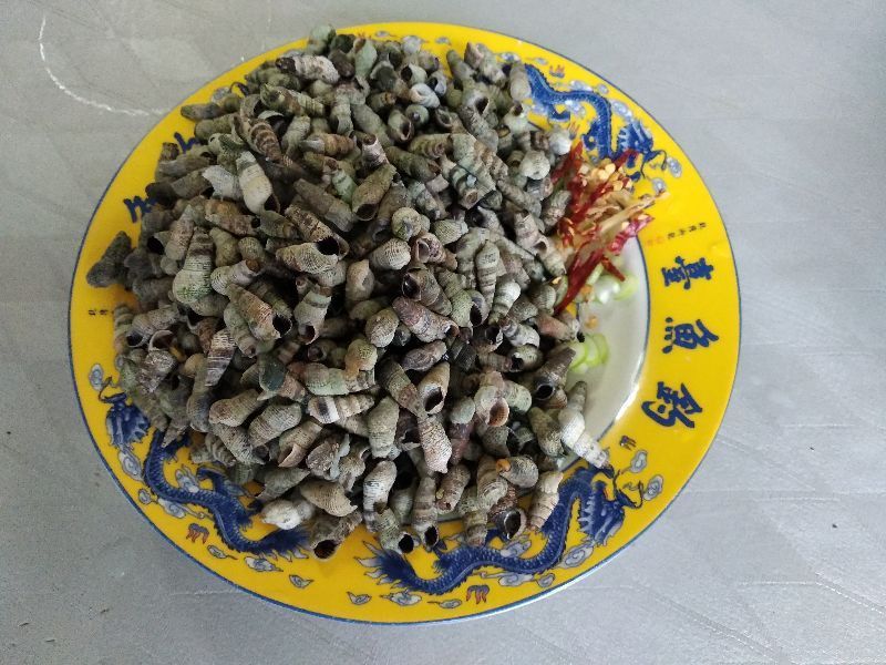 三伏天，喝酒配什么菜好这10道下酒菜有荤有素，啤酒白酒都配