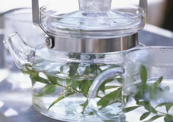 盆栽植物该如何养好根不想花钱买生根粉，就用它们轻松强根