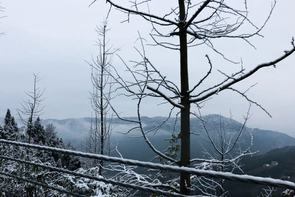 秘密|这个秘密只告诉你，刷爆朋友圈的广元雪景，都在这里了！