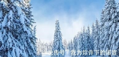 王夫之|闲愁四海难栖泊,王夫之的一首佳作,句句含悲,尾联更加令人心碎