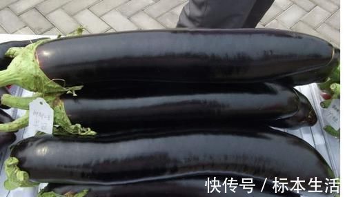 痔疮|有痔疮的人,不用动手术,常吃这些食物,痔疮慢慢就会消失