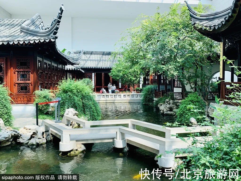 北京|冬天不想宅在家？北京这些地方，依然绿意葱茏！