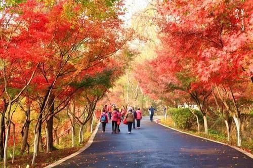 景点|国内最受帝王宠幸的景点，一年四季都好看，如今依旧人气高涨