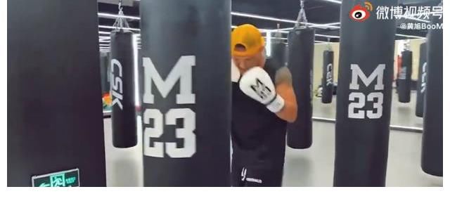 大猫|大傻报名拳击节目，想在台上pk张大大