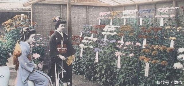 三从四德、琴艺女红、读书学习,古代日本女性的“贤妻”标准