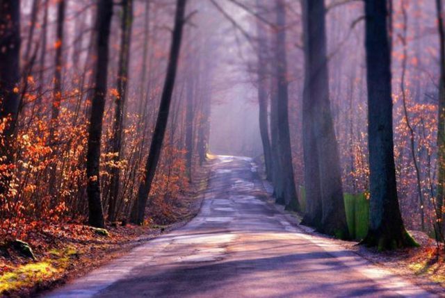 俗语“百艺百穷,无艺成龙”什么意思?道理很深刻,却少有人懂