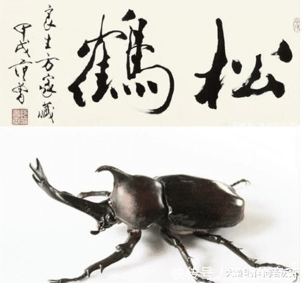 放大15倍|范曾的书法为何是“屎壳郎体”放大15倍后,你会发现真相!