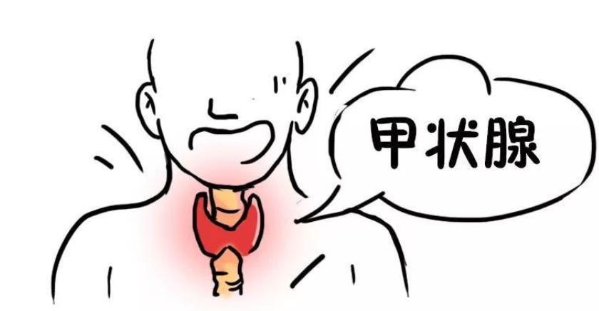 eb病毒|引发各类甲状腺问题的真凶