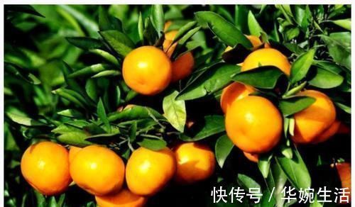 氨基酸|女人对自己好点,多吃3种食物,润肠通便,排毒燃脂,增强体质