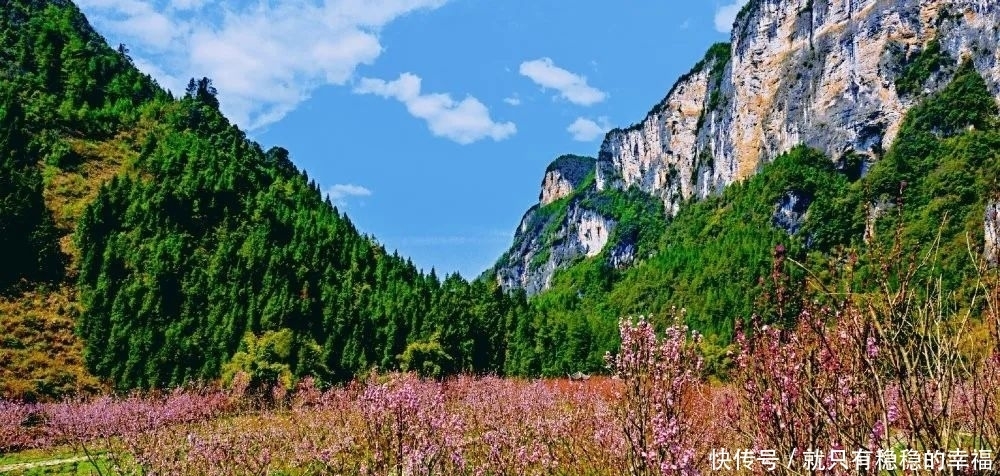 中国宣汉：春风十里，三月花海艳巴山