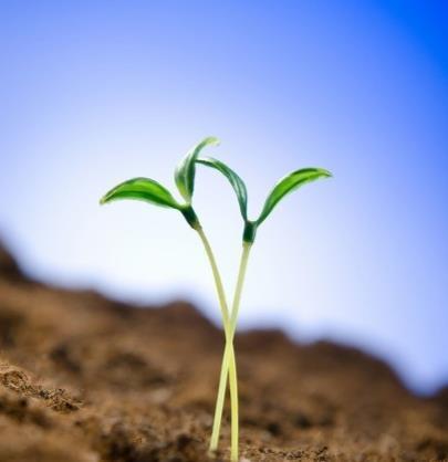 幼儿|开学季，六岁宝宝升一年级了，做到这三点，保证孩子爱上学习