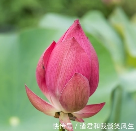 异性缘|进入7月，4属相桃花朵朵开，财源滚滚来，迎来幸福生活