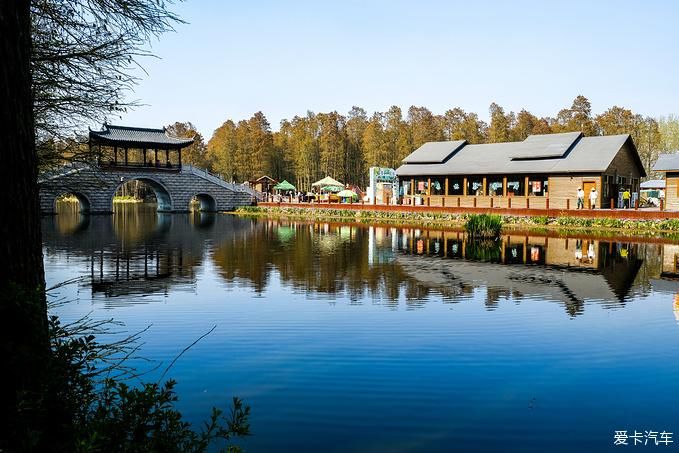 中年|春暖花开游江南-千垛景区水上森林之旅