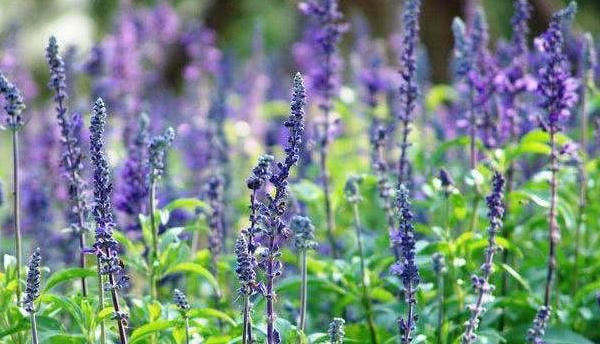 头上有螨虫的人，平时可能会露出4种表现，不要再忽略了