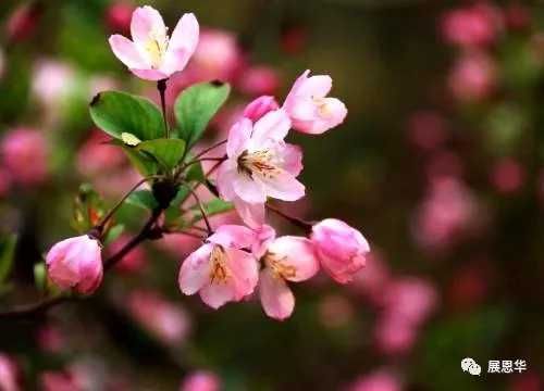  小小说|写小小说“敢”字当先/天 晴